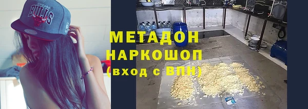 прущие грибы Нягань