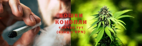 ГАЛЛЮЦИНОГЕННЫЕ ГРИБЫ Нязепетровск