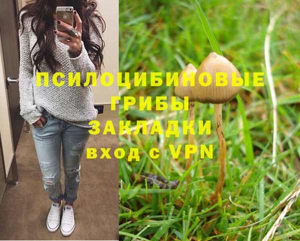 прущие грибы Нягань