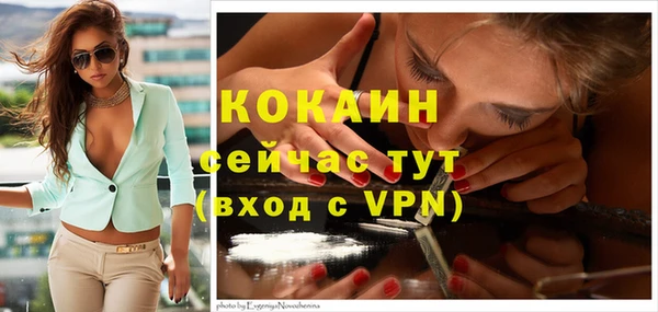 гидра Осинники