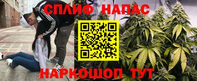 скорость Заволжье
