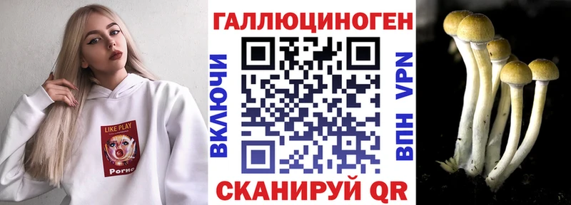 Псилоцибиновые грибы прущие грибы  Красноуфимск 