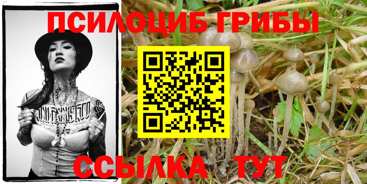Галлюциногенные грибы Magic Shrooms  Вход с VPN  Псилоцибиновые грибы прущие грибы  Красноуфимск 